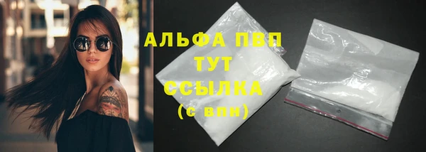 прущий лед Михайловск
