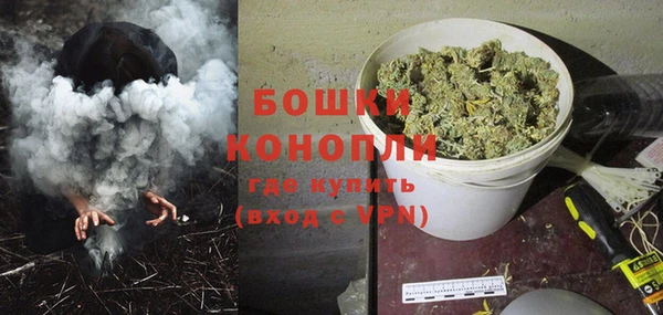 МДПВ Нея
