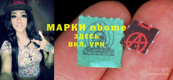 сатива Нефтекумск