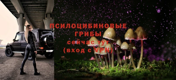 дживик Наволоки