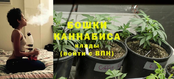 apvp Болотное